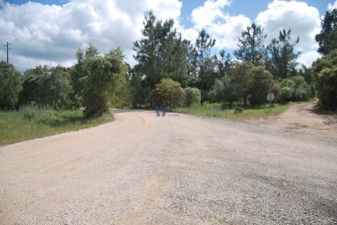 Helårsgrund i Fatima, Santarem, Fatima - € 55.000 | Ref: T1110_2024 - foto 12