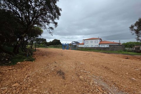 Helårsgrund i Fatima, Santarem, Fatima - € 55.000 | Ref: T1110_2024 - foto 13