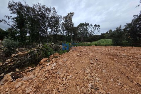 Helårsgrund i Fatima, Santarem, Fatima - € 55.000 | Ref: T1110_2024 - foto 14