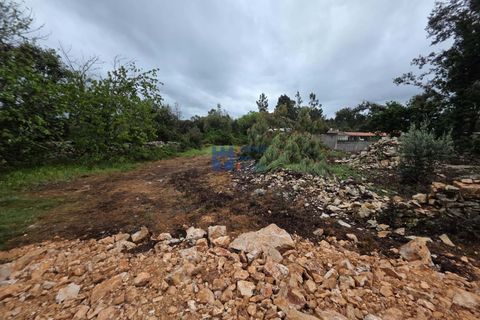 Helårsgrund i Fatima, Santarem, Fatima - € 55.000 | Ref: T1110_2024 - foto 15
