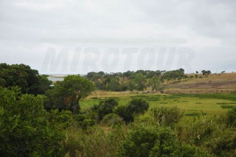 Farm i Santo Andre, Setubal, Santo Andre - € 435.000 | Ref: 2024021 - foto 2