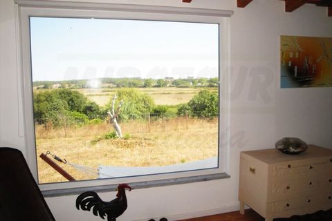 Farm i Santo Andre, Setubal, Santo Andre - € 435.000 | Ref: 2024021 - foto 5