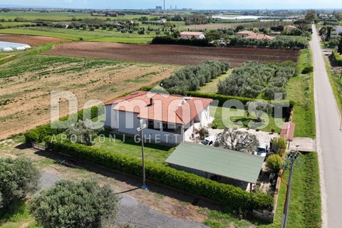 Villa i Capalbio, Grosseto, Capalbio - € 600.000 | Ref: V-0066 - foto 3