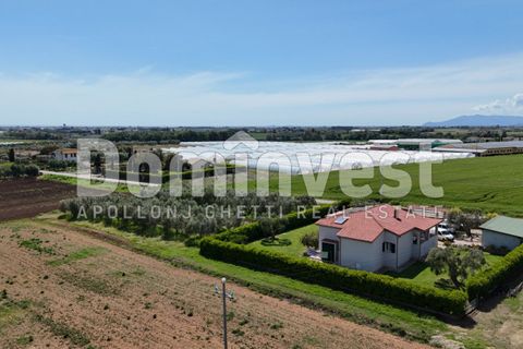 Villa i Capalbio, Grosseto, Capalbio - € 600.000 | Ref: V-0066 - foto 5