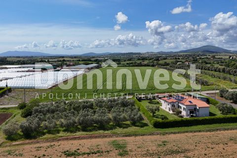 Villa i Capalbio, Grosseto, Capalbio - € 600.000 | Ref: V-0066 - foto 11