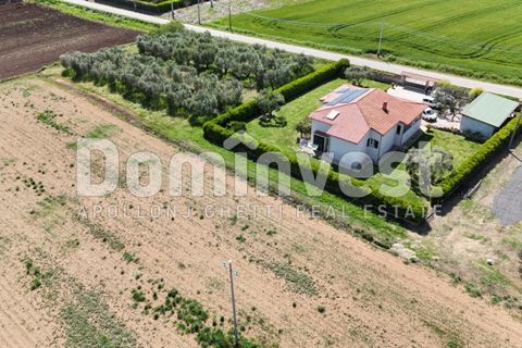 Villa i Capalbio, Grosseto, Capalbio - € 600.000 | Ref: V-0066 - foto 30