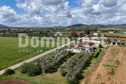 Villa i Capalbio, Grosseto, Capalbio - € 600.000 | Ref: V-0066 - foto 32