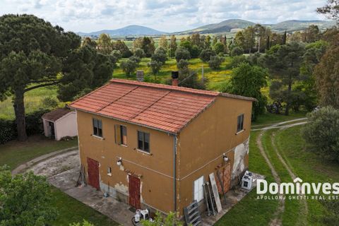 Landejendom i Capalbio, Grosseto, Capalbio - € 570.000 | Ref: V-0068 - foto 4