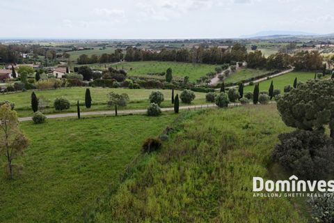 Landejendom i Capalbio, Grosseto, Capalbio - € 570.000 | Ref: V-0068 - foto 6