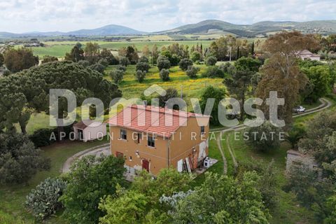 Landejendom i Capalbio, Grosseto, Capalbio - € 570.000 | Ref: V-0068 - foto 7