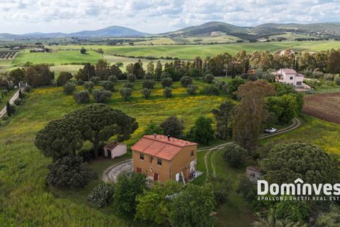 Landejendom i Capalbio, Grosseto, Capalbio - € 570.000 | Ref: V-0068 - foto 8