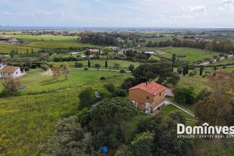 Landejendom i Capalbio, Grosseto, Capalbio - € 570.000 | Ref: V-0068 - foto 10