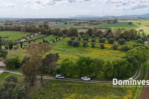 Landejendom i Capalbio, Grosseto, Capalbio - € 570.000 | Ref: V-0068 - foto 11