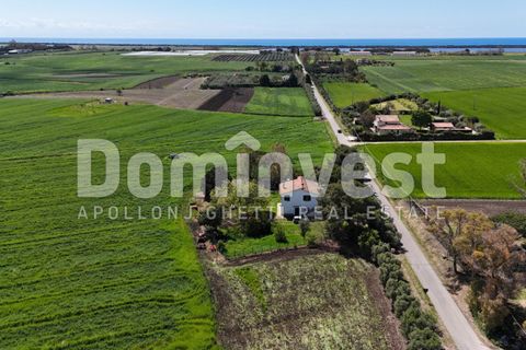 Landejendom i Capalbio, Grosseto, Capalbio - € 700.000 | Ref: v-0070 - foto 1