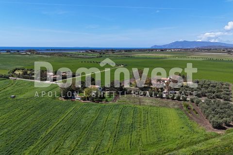 Landejendom i Capalbio, Grosseto, Capalbio - € 700.000 | Ref: v-0070 - foto 2