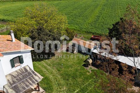 Landejendom i Capalbio, Grosseto, Capalbio - € 700.000 | Ref: v-0070 - foto 3
