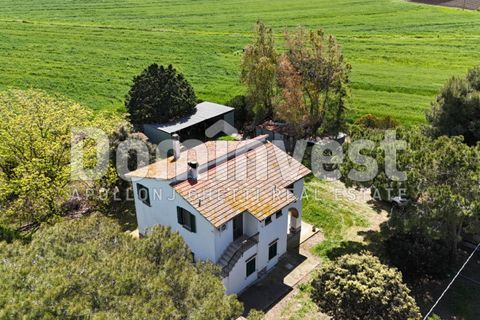 Landejendom i Capalbio, Grosseto, Capalbio - € 700.000 | Ref: v-0070 - foto 4