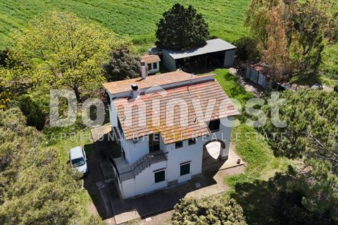 Landejendom i Capalbio, Grosseto, Capalbio - € 700.000 | Ref: v-0070 - foto 5