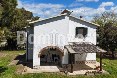 Landejendom i Capalbio, Grosseto, Capalbio - € 700.000 | Ref: v-0070 - foto 6