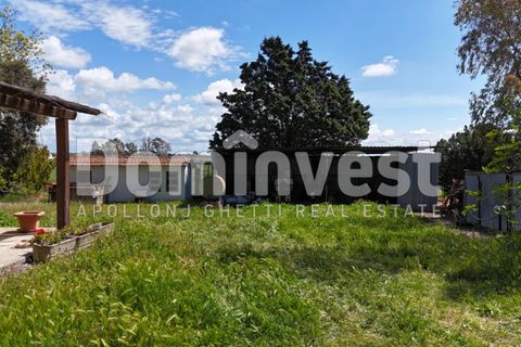 Landejendom i Capalbio, Grosseto, Capalbio - € 700.000 | Ref: v-0070 - foto 7