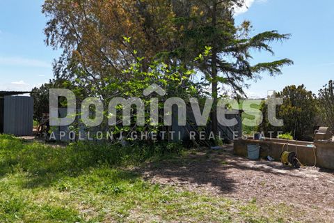 Landejendom i Capalbio, Grosseto, Capalbio - € 700.000 | Ref: v-0070 - foto 8
