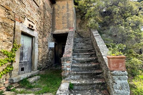 Villa i Cortona, Arezzo, Cortona - € 680.000 | Ref: v59082-x - foto 3