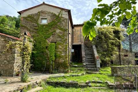 Villa i Cortona, Arezzo, Cortona - € 680.000 | Ref: v59082-x - foto 5
