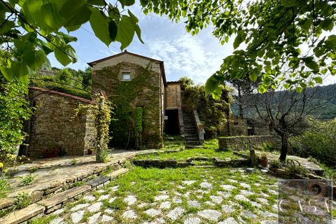 Villa i Cortona, Arezzo, Cortona - € 680.000 | Ref: v59082-x - foto 2
