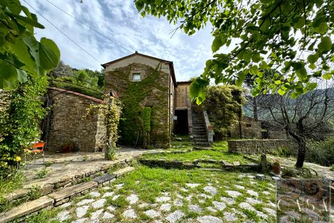 Villa i Cortona, Arezzo, Cortona - € 680.000 | Ref: v59082-x - foto 17