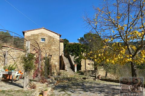 Villa i Cortona, Arezzo, Cortona - € 680.000 | Ref: v59082-x - foto 20