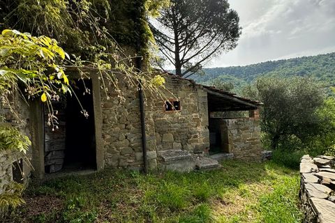 Villa i Cortona, Arezzo, Cortona - € 680.000 | Ref: v59082-x - foto 42