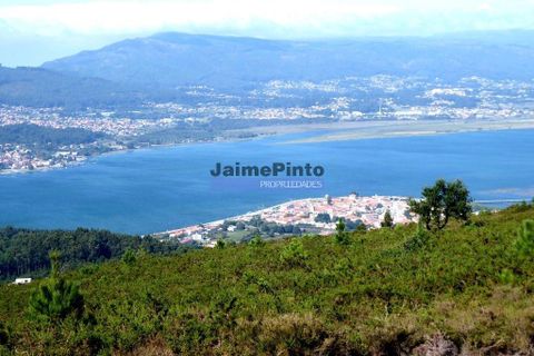 Farm i Caminha, Viana do Castelo, Caminha - € 1.700.000 | Ref: 9543_M - foto 1