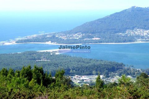 Farm i Caminha, Viana do Castelo, Caminha - € 1.700.000 | Ref: 9543_M - foto 4