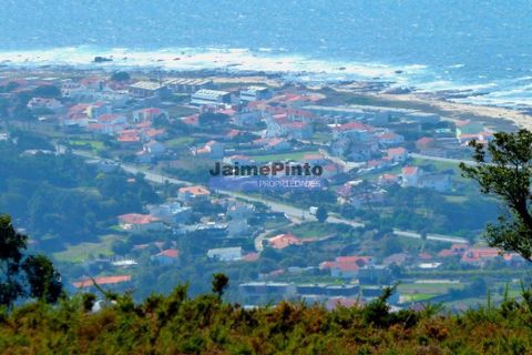 Farm i Caminha, Viana do Castelo, Caminha - € 1.700.000 | Ref: 9543_M - foto 6