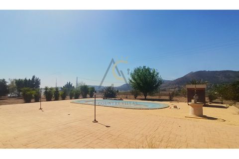 Villa i Elche, Alicante, Elche - € 392.500 | Ref: DNV0489 - foto 30