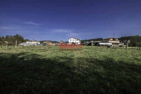 Villa i Castro Daire, Viseu, Castro Daire - € 299.500 | Ref: 189242110 - foto 6