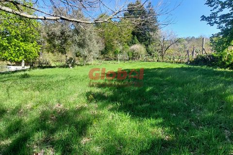 Helårsgrund i Viseu, Viseu, Viseu - € 29.500 | Ref: 189242119 - foto 1