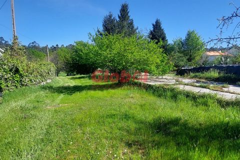 Helårsgrund i Viseu, Viseu, Viseu - € 29.500 | Ref: 189242119 - foto 2