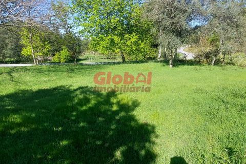 Helårsgrund i Viseu, Viseu, Viseu - € 29.500 | Ref: 189242119 - foto 3
