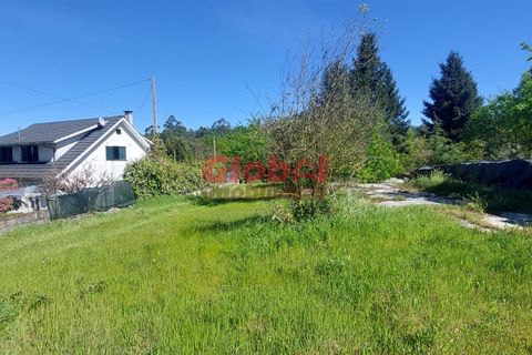Helårsgrund i Viseu, Viseu, Viseu - € 29.500 | Ref: 189242119 - foto 4