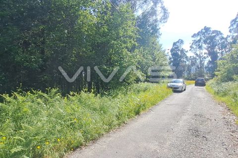Helårsgrund i Vila Verde, Braga, Vila Verde - € 32.000 | Ref: 01-3406 - foto 2