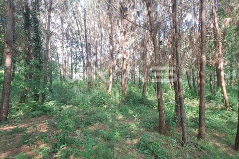 Helårsgrund i Vila Verde, Braga, Vila Verde - € 32.000 | Ref: 01-3406 - foto 3