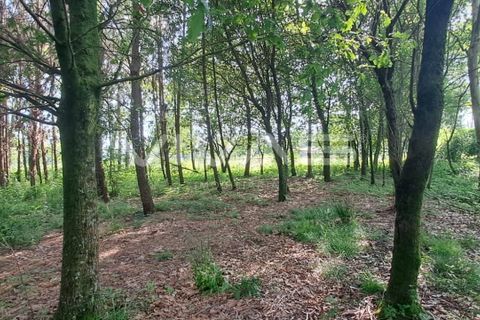Helårsgrund i Vila Verde, Braga, Vila Verde - € 32.000 | Ref: 01-3406 - foto 4