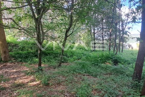 Helårsgrund i Vila Verde, Braga, Vila Verde - € 32.000 | Ref: 01-3406 - foto 5