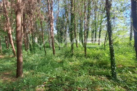 Helårsgrund i Vila Verde, Braga, Vila Verde - € 32.000 | Ref: 01-3406 - foto 6