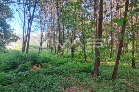 Helårsgrund i Vila Verde, Braga, Vila Verde - € 32.000 | Ref: 01-3406 - foto 7