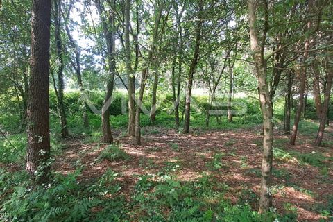 Helårsgrund i Vila Verde, Braga, Vila Verde - € 32.000 | Ref: 01-3406 - foto 8