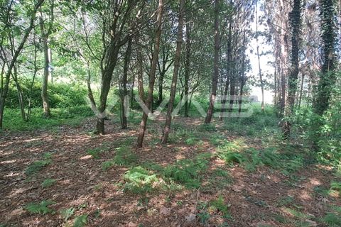 Helårsgrund i Vila Verde, Braga, Vila Verde - € 32.000 | Ref: 01-3406 - foto 9