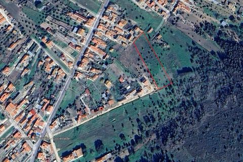 Helårsgrund i Gloria do Ribatejo, Santarem, Gloria do Ribatejo - € 55.000 | Ref: HB3654 - foto 2