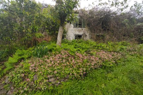 Ruïna a Horta, Faial, Horta - € 120.000 | Ref: 374230049 - foto 11